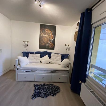 Appartement Esplanade สตราสบูร์ก ภายนอก รูปภาพ
